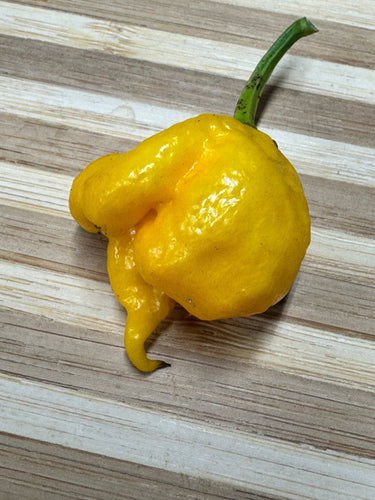 7 Pot Primo Yellow - Seeds - The Pepper Pantry (Formerly Marie Sharp's)